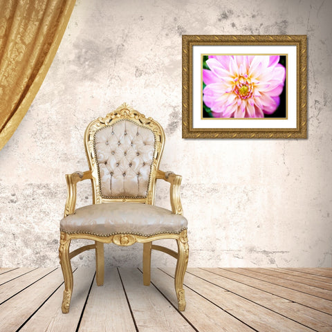 Pink Explosion II Gold Ornate Wood Framed Art Print with Double Matting by Bryant, Susan