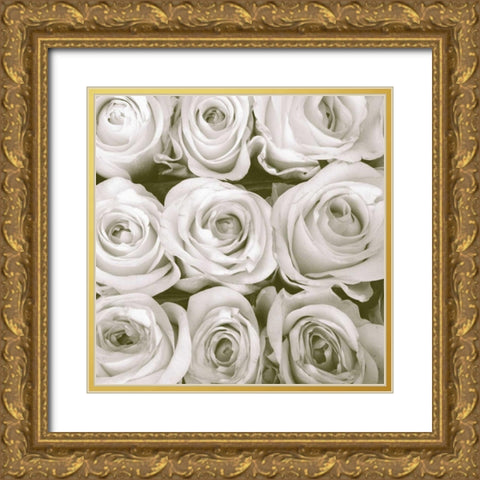 Rose In Bloom Square Gold Ornate Wood Framed Art Print with Double Matting by Peck, Gail