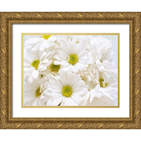 Bunch of White Daisies Gold Ornate Wood Framed Art Print with Double Matting by Peck, Gail