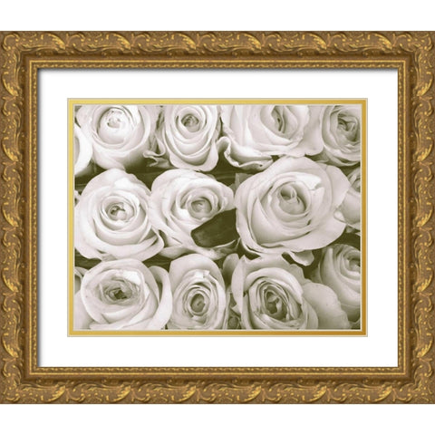 Rose In Bloom Gold Ornate Wood Framed Art Print with Double Matting by Peck, Gail