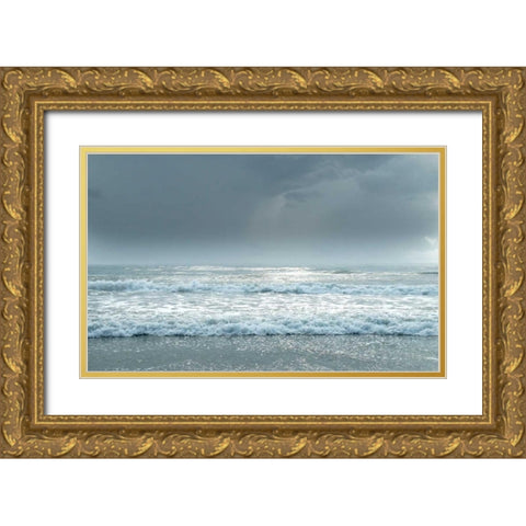 Daytona Storm I Gold Ornate Wood Framed Art Print with Double Matting by Nawrocke, Bruce