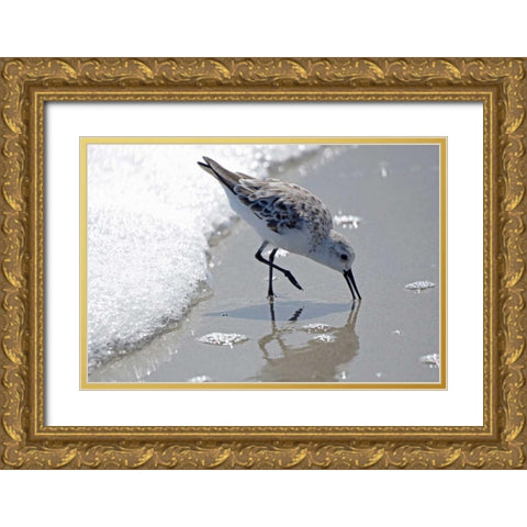 Sandpiper II Gold Ornate Wood Framed Art Print with Double Matting by Nawrocke, Bruce