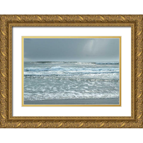 Daytona Storm II Gold Ornate Wood Framed Art Print with Double Matting by Nawrocke, Bruce