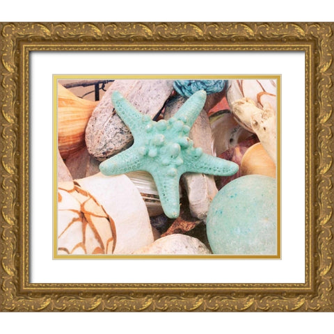 Bundle of Shells V Gold Ornate Wood Framed Art Print with Double Matting by Bryant, Susan