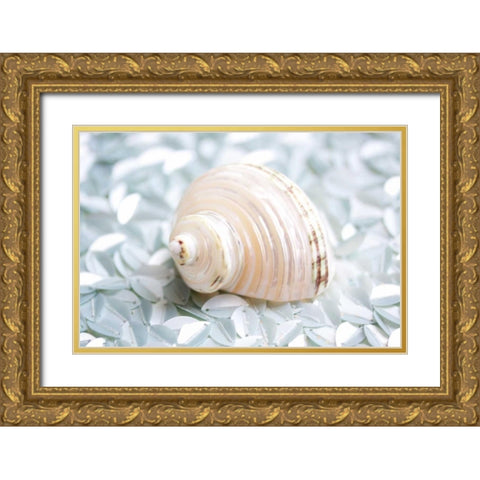 Shimmer Shells IV Gold Ornate Wood Framed Art Print with Double Matting by Bryant, Susan