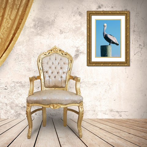 Pelican Perched II Gold Ornate Wood Framed Art Print with Double Matting by Mansfield, Kathy