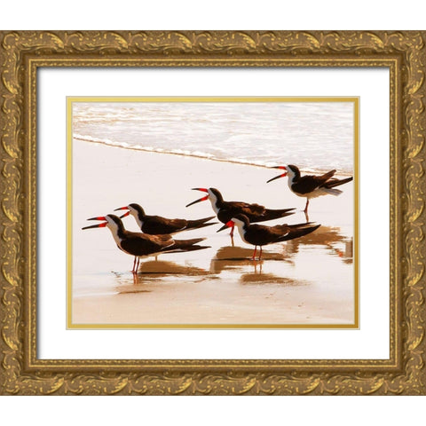 Black Skimmers II Gold Ornate Wood Framed Art Print with Double Matting by Mansfield, Kathy