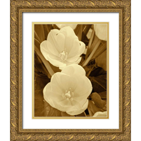 Sepia Blooms I Gold Ornate Wood Framed Art Print with Double Matting by Rodriguez, Jairo