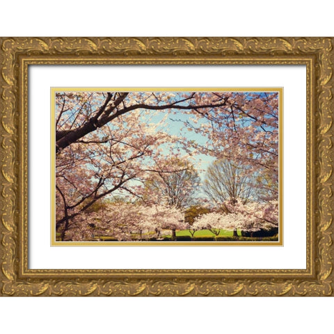 Blossom Beauty I Gold Ornate Wood Framed Art Print with Double Matting by Mansfield, Kathy