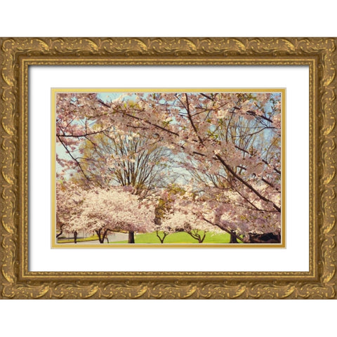 Blossom Beauty II Gold Ornate Wood Framed Art Print with Double Matting by Mansfield, Kathy
