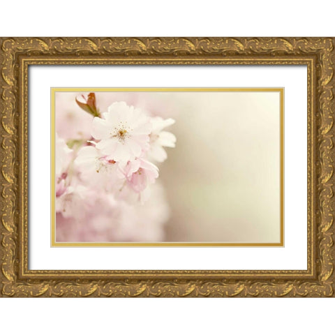 Spring Blossoms Gold Ornate Wood Framed Art Print with Double Matting by Gardner, Sarah
