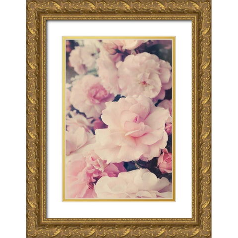 Pink Blossoms I Gold Ornate Wood Framed Art Print with Double Matting by Gardner, Sarah
