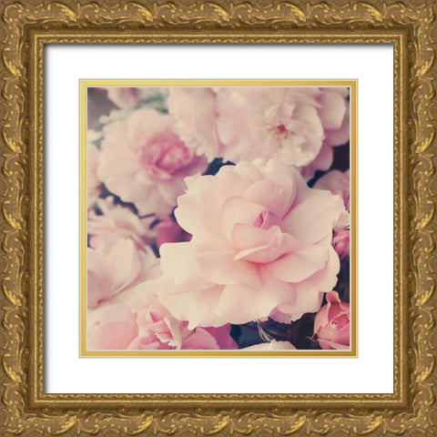Pink Blossoms I Gold Ornate Wood Framed Art Print with Double Matting by Gardner, Sarah