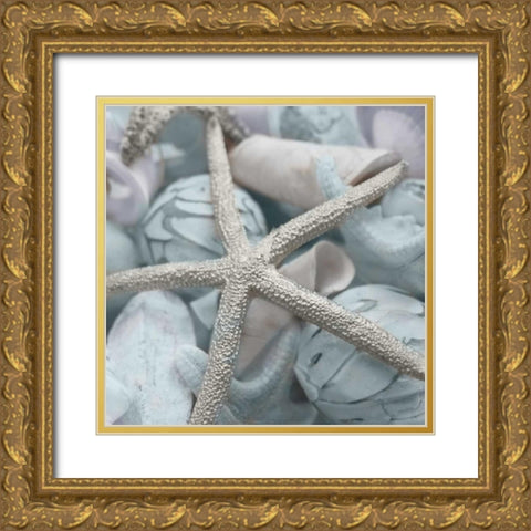 Seashells in Blue I Gold Ornate Wood Framed Art Print with Double Matting by Bryant, Susan