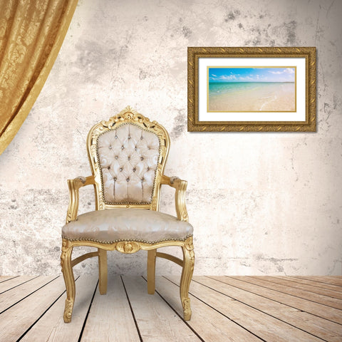 Sandy Paradise Gold Ornate Wood Framed Art Print with Double Matting by Bryant, Susan