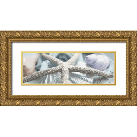Gold Seashells II Gold Ornate Wood Framed Art Print with Double Matting by Bryant, Susan