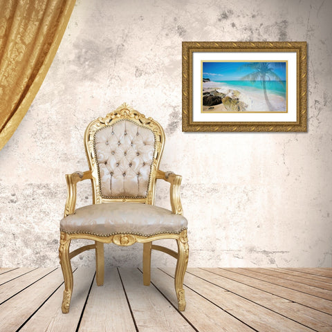 Palm By The Rocks Gold Ornate Wood Framed Art Print with Double Matting by Bryant, Susan