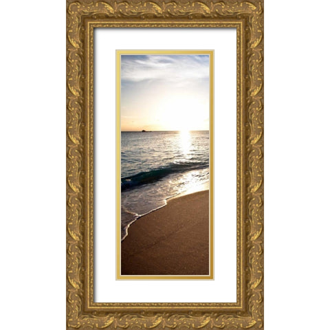 Bimini Beach Gold Ornate Wood Framed Art Print with Double Matting by Bryant, Susan