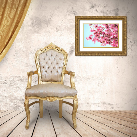 Pink Floral Branch Gold Ornate Wood Framed Art Print with Double Matting by Peck, Gail