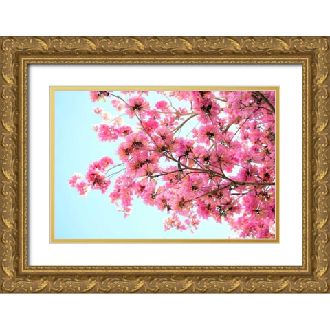 Pink Floral Branch Gold Ornate Wood Framed Art Print with Double Matting by Peck, Gail