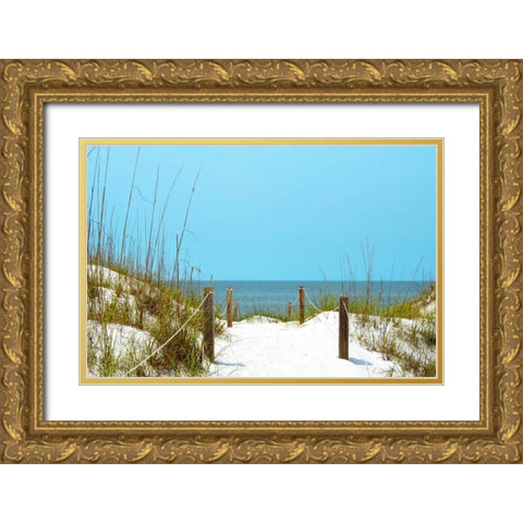 White Sandy Beach I Gold Ornate Wood Framed Art Print with Double Matting by Peck, Gail