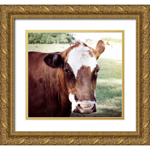 Farm Gold Ornate Wood Framed Art Print with Double Matting by Peck, Gail