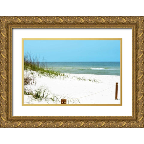 White Sandy Beach II Gold Ornate Wood Framed Art Print with Double Matting by Peck, Gail