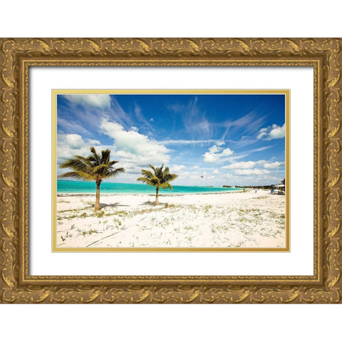 Palms and Kites Gold Ornate Wood Framed Art Print with Double Matting by Bryant, Susan