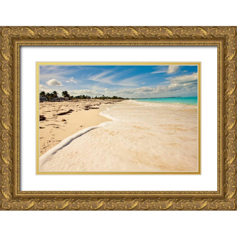 Walking At High Tide Gold Ornate Wood Framed Art Print with Double Matting by Bryant, Susan
