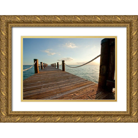 On The Water I Gold Ornate Wood Framed Art Print with Double Matting by Bryant, Susan