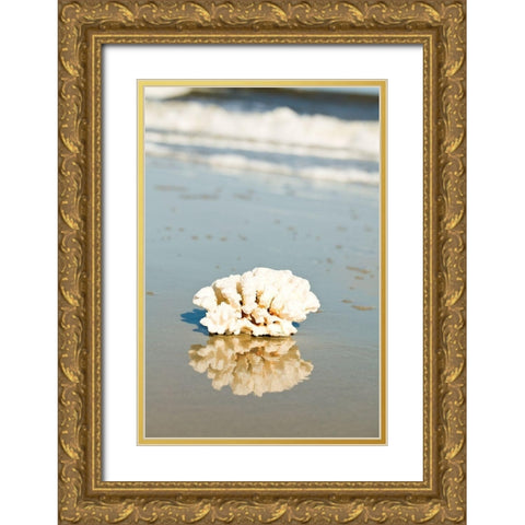Coral Reflection Gold Ornate Wood Framed Art Print with Double Matting by Bryant, Susan