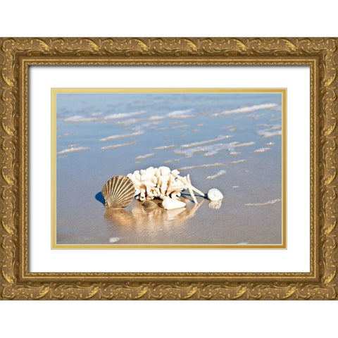Seashell Reflection Gold Ornate Wood Framed Art Print with Double Matting by Bryant, Susan