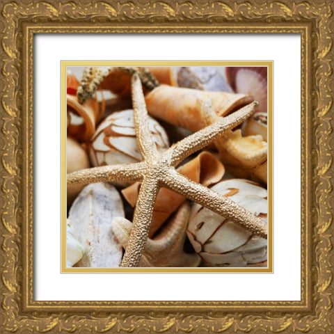 Gold Starfish I Gold Ornate Wood Framed Art Print with Double Matting by Bryant, Susan