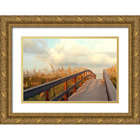 Sunset Pathway Gold Ornate Wood Framed Art Print with Double Matting by Peck, Gail