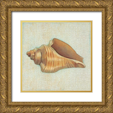 Coastal Treasures II Gold Ornate Wood Framed Art Print with Double Matting by Josefina