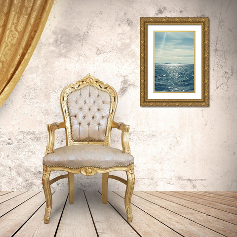 North Eastern Coastal I Gold Ornate Wood Framed Art Print with Double Matting by Gardner, Sarah