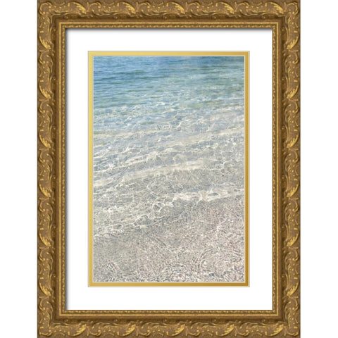 Crystal Clear Waters Gold Ornate Wood Framed Art Print with Double Matting by Gardner, Sarah