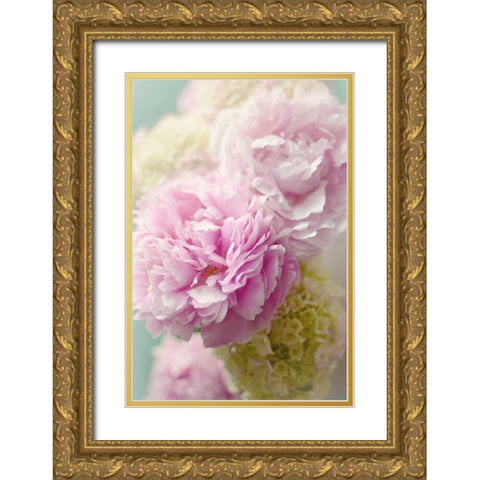 Soft Pink Blooms Gold Ornate Wood Framed Art Print with Double Matting by Gardner, Sarah