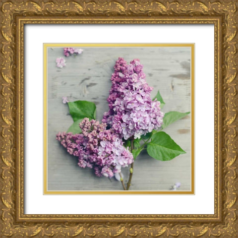 Fresh Lavender Blooms Gold Ornate Wood Framed Art Print with Double Matting by Gardner, Sarah