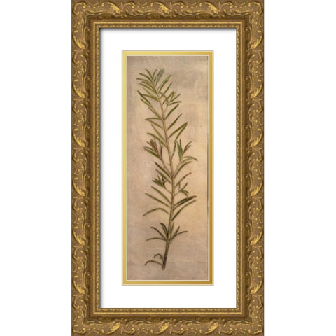 Captured Nature I Gold Ornate Wood Framed Art Print with Double Matting by Johnson, Walt