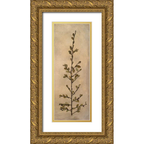 Captured Nature II Gold Ornate Wood Framed Art Print with Double Matting by Johnson, Walt