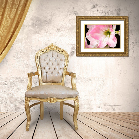 Soft Petals Gold Ornate Wood Framed Art Print with Double Matting by Coppel, Anna