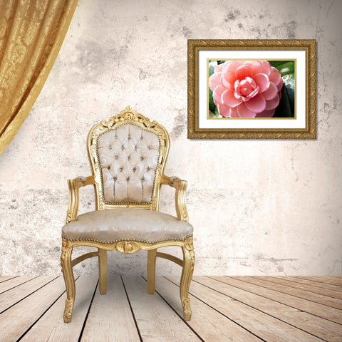 Coral Bloom Gold Ornate Wood Framed Art Print with Double Matting by Coppel, Anna