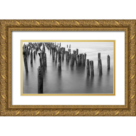 Hudson River Pilings Gold Ornate Wood Framed Art Print with Double Matting by Bill Carson Photography