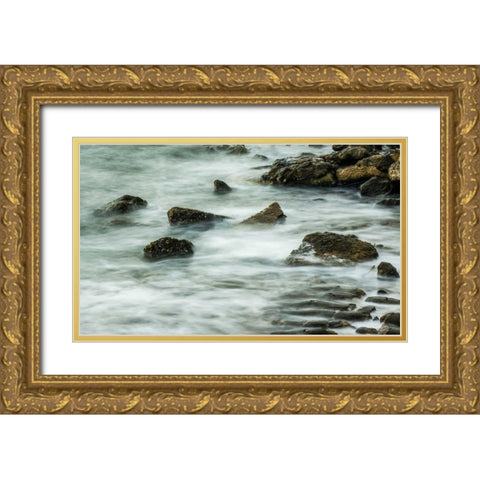 Rocks I Gold Ornate Wood Framed Art Print with Double Matting by Bill Carson Photography