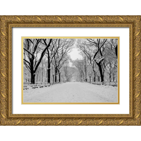 The Mall Washington DC Gold Ornate Wood Framed Art Print with Double Matting by Bill Carson Photography