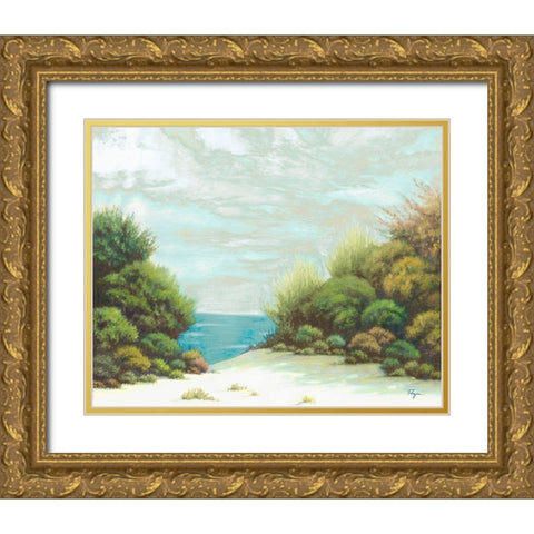 Seashore II Gold Ornate Wood Framed Art Print with Double Matting by Rhyan, Vivien
