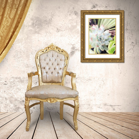 Watercolor Green Succulent Gold Ornate Wood Framed Art Print with Double Matting by James, Nola