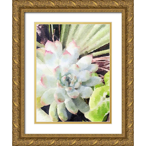Watercolor Green Succulent Gold Ornate Wood Framed Art Print with Double Matting by James, Nola