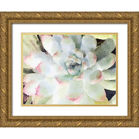 Watercolor Succulent Gold Ornate Wood Framed Art Print with Double Matting by James, Nola